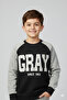 GRAY sweatshirt 3iplik - 2