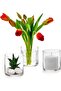 12pcs Cylinder Glass Vases for Home & Wedding Decor, Flower & Candle Centerpiecesn-10x10cm
