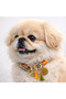 Handmade Cord Rope Dog Collar with Charm (Multi-Color) - 5