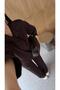 Modal Garnili Brown Tracksuit Set - 3