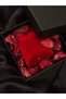 Vip Design Steel Zirconium Silver Ring with Heart Detail Luminous Velvet Box - 4