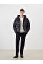 Timeless Clothing & Timeless Choices Standardfit Hooded Men's Puffer Jacket - 2