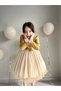 Girls' Premium Deluxe Gold Satin Lace-Up Vest Detailed Special Occasion Cosplay Dress + Hair Clip - 5