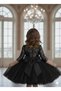 Girl's Black Sequin Detailed Skirt Tulle Dress, Girl's Evening Dress, Party Dress - 2