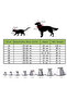 Adjustable Protective Collar Size 6 - 3