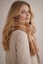Tasseled Scarf Women's Soft Textured Soft Shawl - Winter Beige - 3