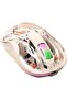 Nexahive Transparent Wireless Mouse M333, Silent Design, Type C Charging Port, USB, BT5.1, RGB light