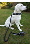 Dog Walking Strap & Collar Single Product 12 cm Diameter Skotocan Rope