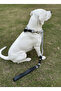 Dog Walking Strap & Collar Single Product 12 cm Diameter Skotocan Rope