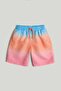 Ombre Swim Shorts