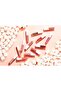 شفاه كلاود باوت مارشميلو موس - 6