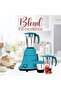 Sleek Blender Mill 220-240 Volt 50/60 Hz 600W with 3 Stainless Steel Jars - 2