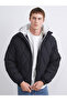 Timeless Clothing & Timeless Choices Standardfit Hooded Men's Puffer Jacket