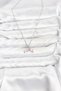 Zircon Fish Tail Women's Necklace with Silver Steel Chain for Elegant Necks