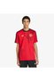 Manchester United Cultural Story Men's Red Jersey
