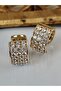 Elite Vip Steel Earrings - 2