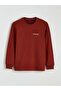 Mg Trenden Brown Crew Neck Printed Men's Sweatshirt - 5