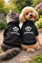 Cat Dog Printed Sweat