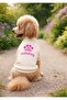 Cat Dog Printed Sweat