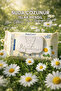 Disposable Wet Toilet Paper 44 Pack with Vitamin E and Chamomile Alcohol-Free Ph Balanced Moist - 4