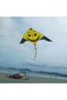 Beach Kite, 160x85cm Large Flying Toy, Beach Toys for Boys & Girls, Single Line Easy-to-Fly K - 4