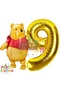 Winnie the Pooh Themed 9 Year Old Gold Foil Number Balloon Set