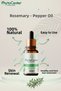 Rosemary Lavender Lemon Peel Orange Essential Oil Set |   100% Pure Aromatherapy Oils - 4