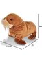 Plush Sea Horse Plush 30 cm Wild Republıc Ck Series - 2