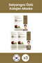 Renewing, Nourishing and Moisturizing Snail Extract Collagen Mask 23 Gr 3 Pieces