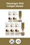 Snail Extract Collagen Mask - Renewing, Nourishing and Moisturizing, 23 Gr 5 Pieces