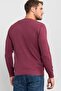 Men's Standard Fit Regular Cut Crew Neck Honeycomb Patterned Claret Red Knitwear Sweater - 4