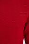 Men's Standard Fit Regular Cut Crew Neck Honeycomb Patterned Red Knitwear Sweater - 6