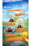Luga Workshop - Multi-Blade Propeller Wind Turbine - 7