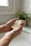 Natural Rice Bran Soap Set of 5 — Normal and Combination Skin, Cold Method, Handmade, 100 g X5 - 3