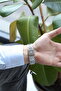 Men's Wristwatch Collection New Model Premium Series - 4