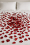 1000 Pieces Dried Rose Dried Leaves Gift Ornament Decor Romantic - 6
