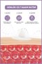 Vanilla 100 ml & Blueberry 100 ml Skin Care Foam Set of 2 - 5