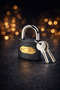 25 mmLuggage Lock Travel Suitcase Lock Bag Lock Padlock Travel Lock Luggage Lock - 5