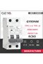 Type A 2P C16A 30mA GEYA GYR9NM Type A RCBO 2P 4P Magnetic Circuit Breaker with Over Current and Lea