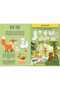 Sassi The Forest - Sticker And Activities - 2