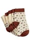 Baby Boy 3-Piece Sock Set 6-18 Months - Standard 12 Months - 4