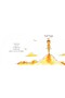 Sunt Yoga - 4