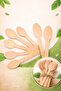 Birch Wooden Spoon 160 mm 1500 Pcs– Eco-Friendly Disposable Cutlery