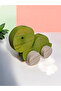 Wooden Toy Turtle Natural Handmade Toy