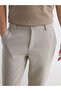 Lcw Vision Beige Standard Fit Men's Trousers