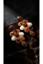 Brass Gold Brown Zr Model Grape Bunch Dangle Women's Earrings - 5
