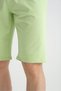 Avocado Men's Shorts with Print Detail, Casual Use, Adjustable Waist, Elastic, Regular Fit - 3