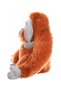 Plush Male Orangutan Plush 30 cm Wild Republıc Ck Series - 3
