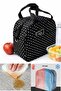 Licensed Lunch Box Waterproof Food Carrying Bag with Strap 8Lt Polka Dot