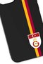 iPhone 12 Pro Max Compatible Parted Stripe Flag Arma Black Silicone Licensed Phone Case - 2